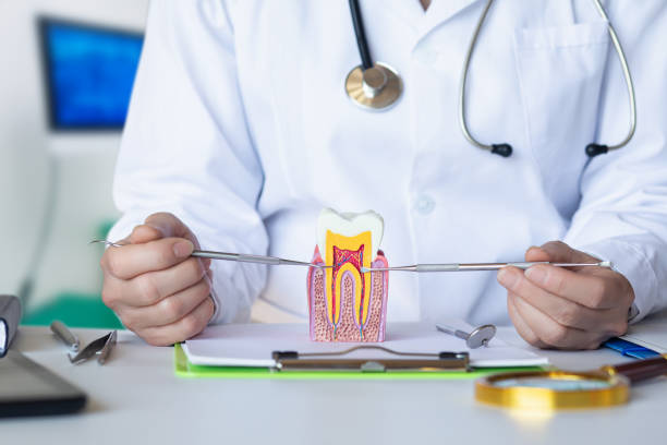 Best Urgent Dental Care for Toothache in Valley, NE